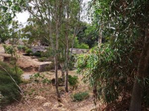 37 ΓΕΦΥΡΙ ΠΟΤΑΜΟΥ ΠΟΤΑΜΟΣ ΚΥΘΗΡΑ 05-08-2023