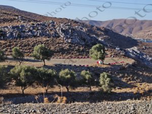 37 ΜΕΛΙΣΣΙΑ ΑΣΤΥΠΑΛΑΙΑ ΔΩΔΕΚΑΝΗΣΑ 17-09-2022