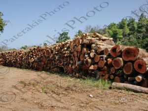37 ΣΤΟΙΒΑΓΜΕΝΑ ΞΥΛΑ ΚΟΡΜΟΙ ΓΙΑ ΘΕΡΜΑΝΣΗ ΠΡΟΚΟΠΙ ΕΥΒΟΙΑ 23-09-2023