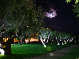 38 ΦΕΓΓΑΡΙ ΣΥΝΝΕΦΑ ΠΙΣΙΝΑ PLAZA RESORT ΑΝΑΒΥΣΣΟΣ 28-09-2023