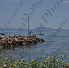 40 ΨΑΡΑΣ ΨΑΡΕΜΑ ΚΑΛΑΜΙΑ ΠΑΡΑΛΙΑ ΜΑΡΑΘΩΝΑ 22-05-2022