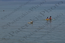 41 ΣΚΥΛΟΣ ΚΟΛΥΜΠΑΕΙ ΠΑΡΑΛΙΑ ΜΑΡΑΘΩΝΑ 22-05-2022