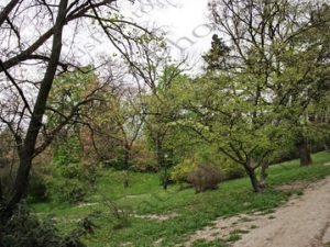 47 ΔΡΟΜΟΙ ΣΟΚΑΚΙΑ ΦΑΝΟΣΤΑΤΗΣ BUDAPEST ΟΥΓΓΑΡΙΑ 13-04-2023