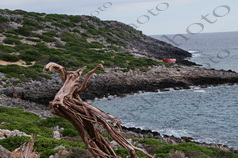 48 ΝΑΥΑΓΙΟ ΔΩΔΕΚΑ ΑΠΟΣΤΟΛΟΙ ΦΑΡΟΣ ΑΠΟΛYΤΑΡΕΣ ΑΝΤΙΚΥΘΗΡΑ 17-01-2022