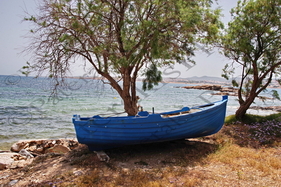 52 ΒΑΡΚΑ ΣΤΗΝ ΣΚΙΑ ΑΓ ΝΙΚΟΛΟΣ ΘΟΡΙΚΟ ΛΑΥΡΙΟ 29-05-2022