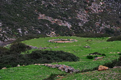 56 ΠΑΛΙΟ ΑΛΩΝΙ ΓΑΛΑΝΙΑΝΑ ΑΝΤΙΚΥΘΗΡΑ 17-01-2022