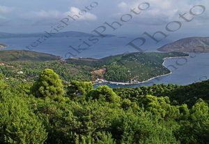 62 ΠΑΡΑΛΙΑ ΠΕΥΚΟΣ ΣΚΥΡΟΣ 24_26-08-2022