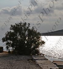63 ΚΑΙΚΙΑ ΒΑΡΚΑ ΑΝΑΤΑΝΑΚΛΑΣΗ ΗΛΙΟΣ ΠΑΡΑΛΙΑ ΠΕΥΚΟΣ 24-08-2022