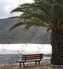 64 ΠΑΡΑΛΙΑ ΑΧΕΡΟΥΝΕΣ ΣΚΥΡΟΣ 24-08-2022