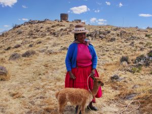 68 CHOLA VICUNA ΒΙΚΟΥΝΑ SILLUSTANI ΛΙΜΝΗ UMAYO ΠΕΡΟΥ 06-08-2024
