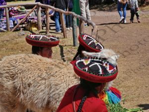 76 ΚΑΠΕΛΟ CHOLA CUSCO ΠΕΡΟΥ 07-08-2024