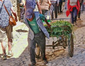 90 ΧΑΜΑΛΗΣ ΤΡΙΚΥΚΛΟ ΠΟΔΗΛΑΤΟ OLLANTAYTAMBO ΠΕΡΟΥ 08-08-2024