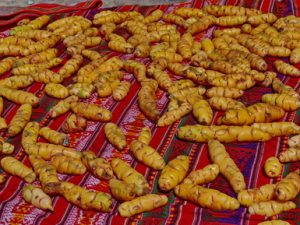 91 ΠΑΤΑΤΕΣ ΟΝΕΙΡΟΠΑΓΙΔΕΣ OLLANTAYTAMBO ΠΕΡΟΥ 08-08-2024