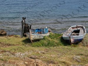 92 ΚΑΜΜΕΝΟΣ ΚΟΡΜΟΣ ΠΑΛΑΙΟ ΚΑΙΚΙ ΑΛΙΕΥΤΙΚΟ ΣΚΥΡΟΣ 26-08-2022
