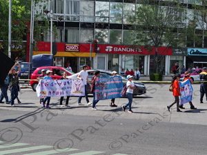 01 ΔΙΑΜΑΡΤΥΡΙΑ ΚΑΤΑ ΤΗΣ ΚΑΚΟΠΟΙΗΣΗΣ ΤΩΝ ΖΩΩΝ MEXICO CITY ΜΕΞΙΚΟ 25-08-2019