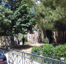 01 ΦΩΤΙΑ ΑΡΧΟΝΤΙΚΟ ΚΛΩΝΑΡΙΔΗ ΠΑΡΚΟ ΦΙΞ ΠΑΤΗΣΙΩΝ ΑΘΗΝΑ 04-05-2020