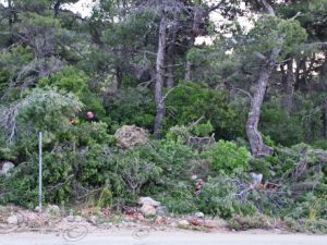 02 ΕΡΓΑΣΙΑΣ ΑΝΤΙΠΥΡΙΚΗΣ ΠΡΟΣΤΑΣΙΑΣ ΠΕΡΙΦΕΡΕΙΑ ΑΤΤΙΚΗΣ ΙΠΠΟΚΡΑΤΕΙΟΣ ΠΟΛΙΤΕΙΑ 14-05-2021
