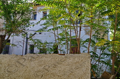 03 ΠΡΟΣΦΥΓΙΚΗ ΠΟΛΥΚΑΤΟΙΚΙΑ ΠΛΑΤΕΙΑ ΑΓ Ι ΡΕΝΤΗ 25-11-2021