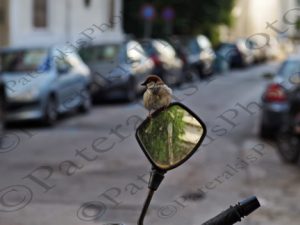 03 ΣΠΟΥΡΓΙΤΙ ΜΗΧΑΝΗ ΚΑΘΡΕΠΤΗΣ ΑΘΗΝΑ 14-04-2021