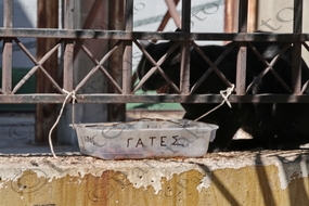 04 ΔΟΧΕΙΟ ΦΑΓΗΤΟΥ ΔΙΑΒΑΖΕΙ ΓΑΤΑ ΛΙΜΑΝΙ ΠΕΙΡΑΙΑΣ 05-10-2021