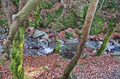 04 ΣΤΕΝΗ ΕΥΒΟΙΑ 05-12-2021