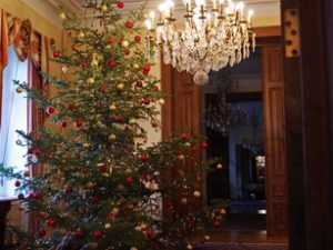 05 ΧΡΙΣΤΟΥΓΕΝΝΙΑΤΙΚΟ ΔΕΝΔΡΟ ΠΡΟΕΔΡΙΚΟ 21-12-2020