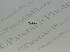 05 ΠΥΡΟΣΒΕΣΤΙΚΑ ΑΕΡΟΠΛΑΝΑ CANADAIR CL 215 CL 415  ΚΑΤΑΣΒΕΣΗ ΦΩΤΙΑ ΒΑΡΥΜΠΟΠΗ ΘΕΑ ΑΠΟ ΙΠΠΟΚΡΑΤΕΙΟ ΠΟΛΙΤΕΙΑ 05-08-2021