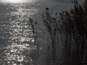 06 ΚΑΛΑΜΙΩΝΑΣ ΠΟΛΙΤΙΚΑ ΕΥΒΟΙΑ 30-11-2019