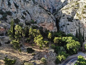 06 ΚΑΣΤΑΛΙΑ ΠΗΓΗ ΔΕΛΦΟΙ 28-06-2020