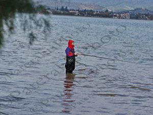 06 ΨΑΡΕΜΑ ΜΕΣΑ ΣΤΗΝ ΘΑΛΑΣΣΑ ΑΥΛΙΔΑ ΕΥΒΟΙΑ 01-11-2020