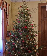 07 ΧΡΙΣΤΟΥΓΕΝΝΙΑΤΙΚΟ ΔΕΝΔΡΟ ΠΡΟΕΔΙΚΟ 08-12-2021