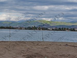 07 ΚΑΛΑΜΙΑ ΨΑΡΕΜΑΤΟΣ ΠΑΡΑΛΙΑ ΑΥΛΙΔΑ ΕΥΒΟΙΑ 01-11-2020