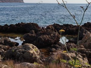 07 ΚΑΡΑΒΟΣΤΑΣΙ ΟΙΤΥΛΟ ΛΑΚΩΝΙΑ 03-08-2020