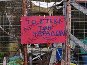 07 ΤΟ ΣΤΕΚΙ ΤΩΝ ΨΑΡΑΔΩΝ ΚΙΤΡΙΕΣ ΜΕΣΣΗΝΙΑ 10-02-2026