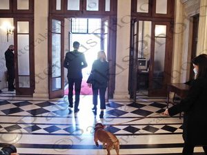 08 ΠΙΝΑΤ PEANUT  ΣΚΥΛΟΣ ΜΑΞΙΜΟΥ 21-04-2021