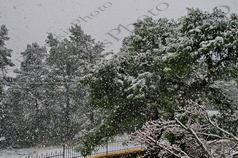 09 ΧΙΟΝΙΑ ΙΠΠΟΚΡΑΤΕΙΟΣ ΠΟΛΙΤΕΙΑ 18-12-2021