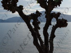 09 ΚΟΡΜΟΣ ΜΑΤΙΑ ΜΟΥΡΙΑ ΠΟΛΙΤΙΚΑ ΕΥΒΟΙΑ 30-11-2019