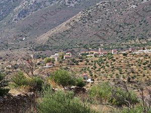 10 ΛΟΥΚΑΔΙΚΟ ΛΑΚΩΝΙΑ 05-10-2020