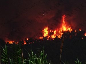 10 ΠΥΡΟΣΒΕΣΤΙΚΑ ΕΛΙΚΟΠΤΕΡΑ ERICKSON S 64 ΚΑΤΑΣΒΕΣΗ ΦΩΤΙΑ ΚΟΚΚΙΝΟΒΡΑΧΟΣ ΘΕΑ AΠΟ ΝΕΑ ΕΟ ΑΘΗΝΩΝ ΛΑΜΙΑΣ ΓΕΦΥΡΑ ΑΦΙΔΝΩΝ ΑΦΙΔΝΑΙ 05-08-2021