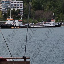 11 ΧΑΛΚΙΔΑ ΕΥΒΟΙΑ DRONE 02-03-2020