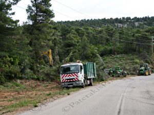 12 ΜΗΧΑΝΗΜΑΤΑ ΜΕΤΑΦΟΡΑΣ ΚΟΡΜΩΝ ΚΟΨΙΜΟ ΔΕΝΔΡΩΝ ΕΡΓΑ ΑΝΤΙΠΥΡΙΚΗΣ ΠΡΟΣΤΑΣΙΑΣ ΙΠΠΟΚΡΑΤΕΙΟΣ ΠΟΛΙΤΕΙΑ 15-05-2021