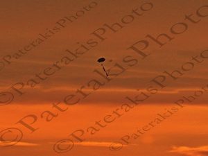 13 ΧΑΡΤΑΕΤΟΣ ΤΟ ΔΕΙΛΙΝΟ ΕΡΕΤΡΙΑ ΕΥΒΟΙΑ 02-03-2020