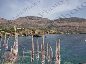 13 ΚΟΤΡΩΝΑΣ ΛΑΚΩΝΙΑ 05-10-2020