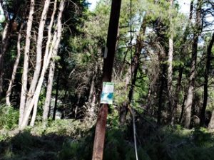 13 ΠΕΣΜΕΝΑ ΚΑΛΩΔΙΑ ΟΤΕ ΚΟΚΚΙΝΟΒΡΑΧΟΣ ΑΦΙΔΝΑΙ 05-03-2021