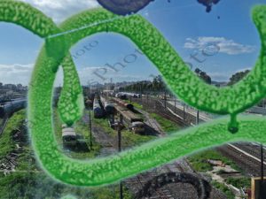 14 ΕΡΓΑ ΤΕΧΝΗΣ ΠΑΛΑΙΑ ΒΑΓΟΝΙΑ ΟΣΕ ΣΙΔΗΡΟΔΡΟΜΙΚΟΣ ΣΤΑΘΜΟΣ ΑΓ Ι ΡΕΝΤΗΣ 09-02-2021