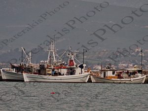 14 ΚΑΙΚΙΑ ΕΡΕΤΡΙΑ ΕΥΒΟΙΑ 02-03-2020