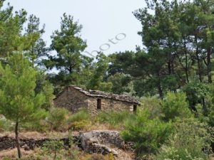 14 ΡΑΧΕΣ ΙΚΑΡΙΑ 09-08-2020