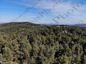 15 ΙΠΠΟΚΡΑΤΕΙΟΣ ΠΟΛΙΤΕΙΑ ΑΦΙΔΝΑΙ DRONE 05-03-2021