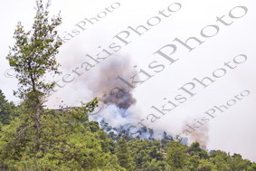 16 ΦΩΤΙΑ ΑΓ ΤΡΙΑΔΑ ΚΑΤΣΙΜΙΔΙ ΙΠΠΟΚΡΑΤΕΙΟΣ ΠΟΛΙΤΕΙΑ 06-08-2021