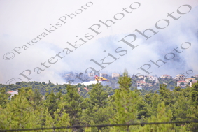 17 ΠΥΡΟΣΒΕΣΤΙΚΑ ΑΕΡΟΠΛΑΝΑ CANADAIR CL 215 CL 415 ΚΑΤΑΣΒΕΣΗ ΙΠΠΟΚΡΑΤΕΙΟΣ ΠΟΛΙΤΕΙΑ ΑΦΙΔΝΑΙ 06-08-2021